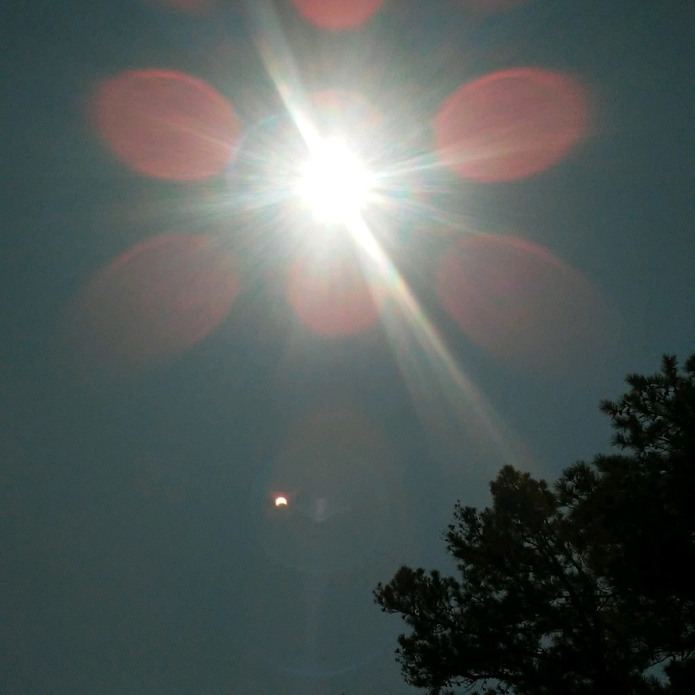 Meet your Posher, Tynisha